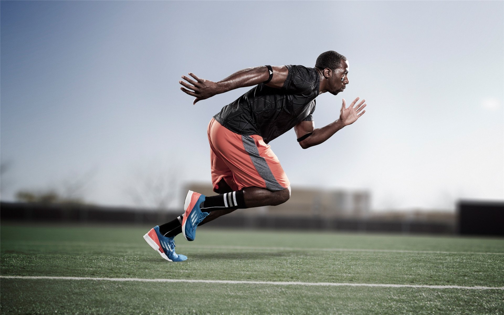 深圳队对阵公牛，霍勒迪的统治力，对手完全无解